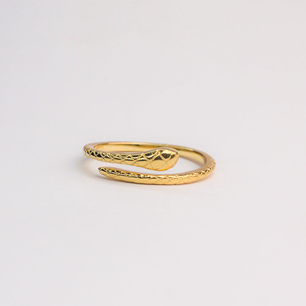 Serpant Ring In Sterling Silver