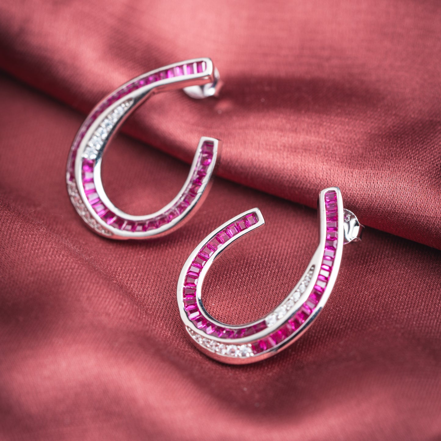 Blushing Horseshoe Crystals  Earring