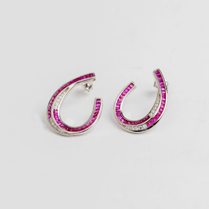 Blushing Horseshoe Crystals  Earring